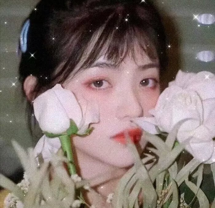 拳精 封面
